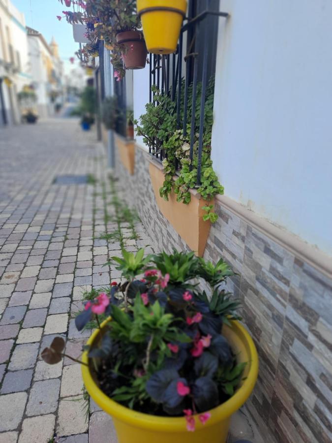 Apartamento En Casco Historico Εστεπόνα Εξωτερικό φωτογραφία