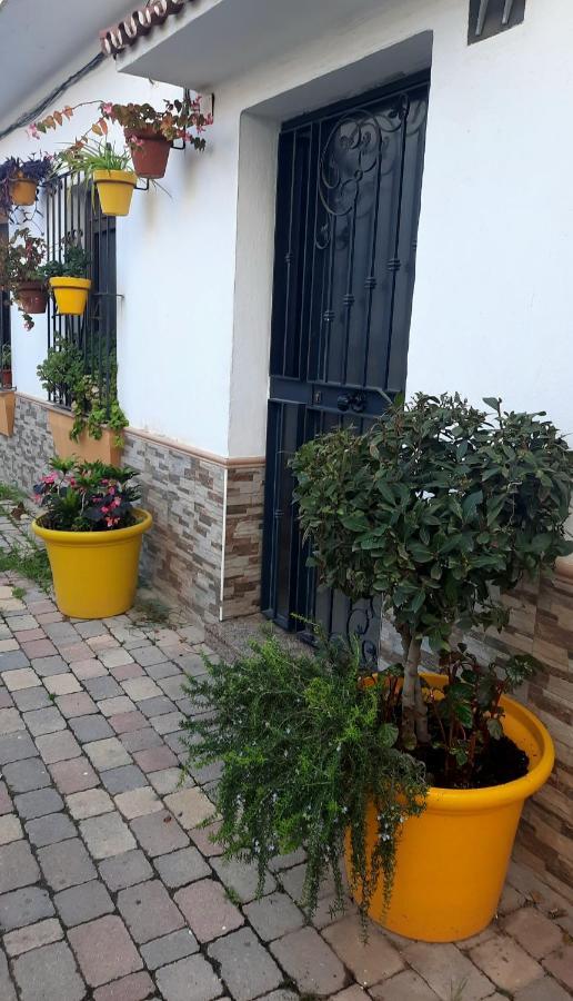 Apartamento En Casco Historico Εστεπόνα Εξωτερικό φωτογραφία